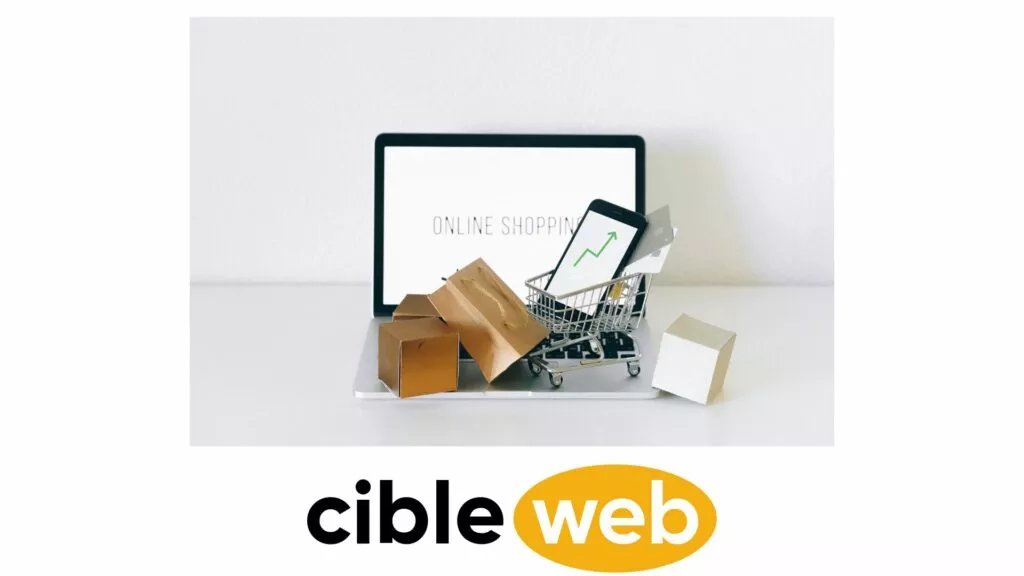 ecommerce-francais-T3-2022