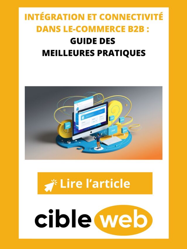 Integration-et-connectivite-dans-le-ecommerce-B2B-guide-des-meilleures-pratiques