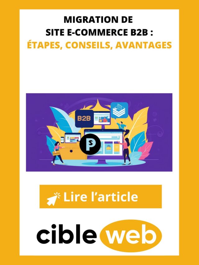 Migration-de-site-e-commerce-B2B