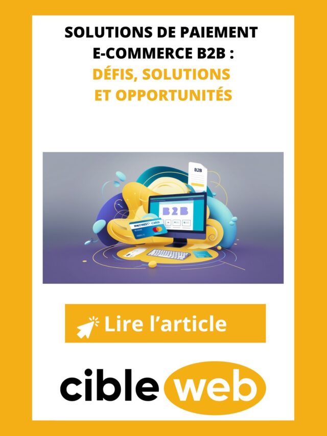 Solutions-de-paiement-e-commerce-B2B