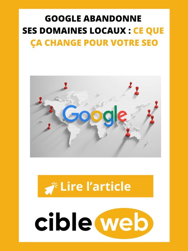 Google-suppression-des-domaines-locaux-optimisation-SEO