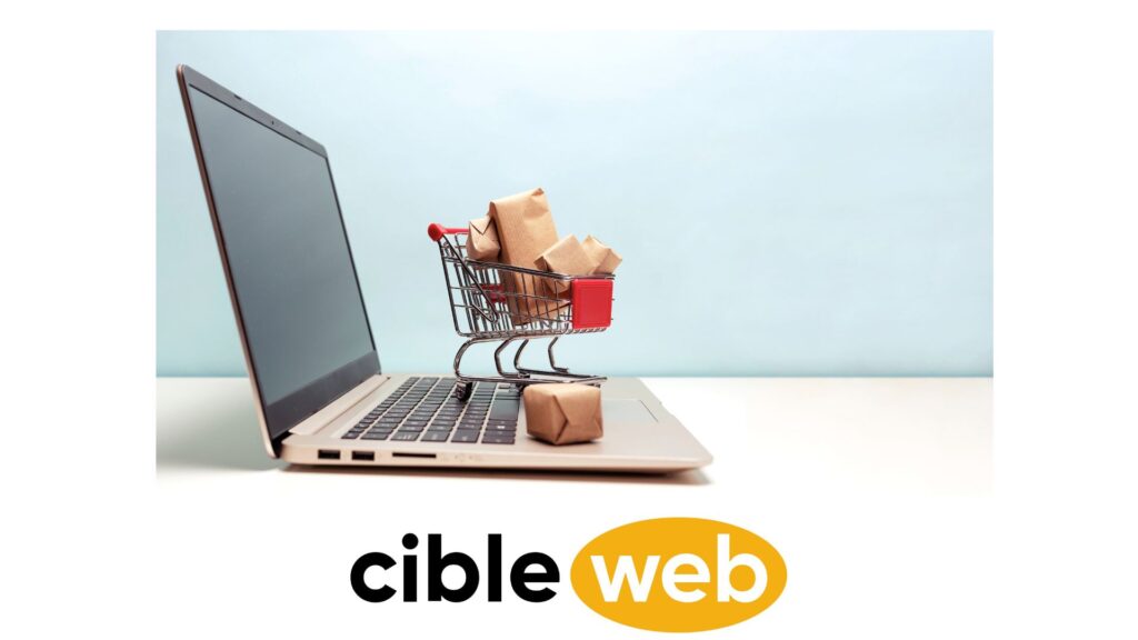 bilan-e-commerce-francais-2025